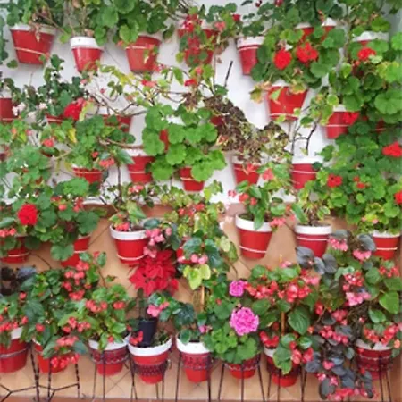 Elegant Estepona, Sea View Apartamento Estepona